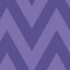 Violet Zig Zag